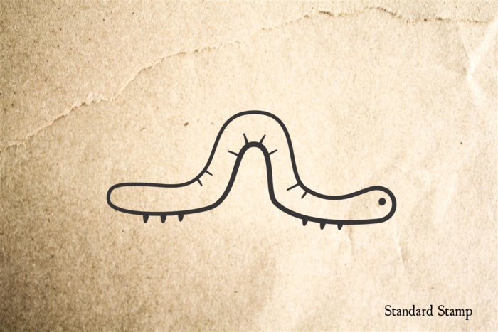 700x467 inchworm cartoon rubber stamp standard stamp - Inchworm Drawing