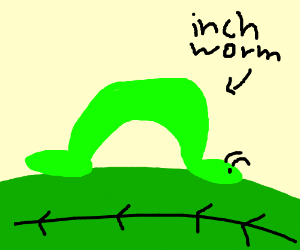 300x250 Inch Worm Drawing - Inchworm Drawing