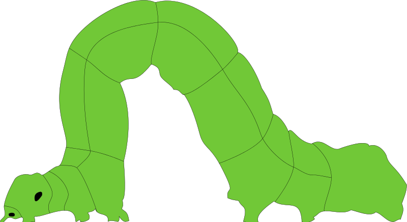 800x436 Free Clipart Inchworm Xavidotron - Inchworm Drawing