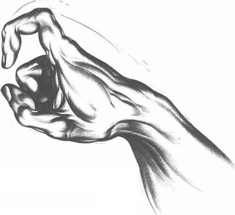 799x731 The Hand As A Claw - Index Finger Drawing