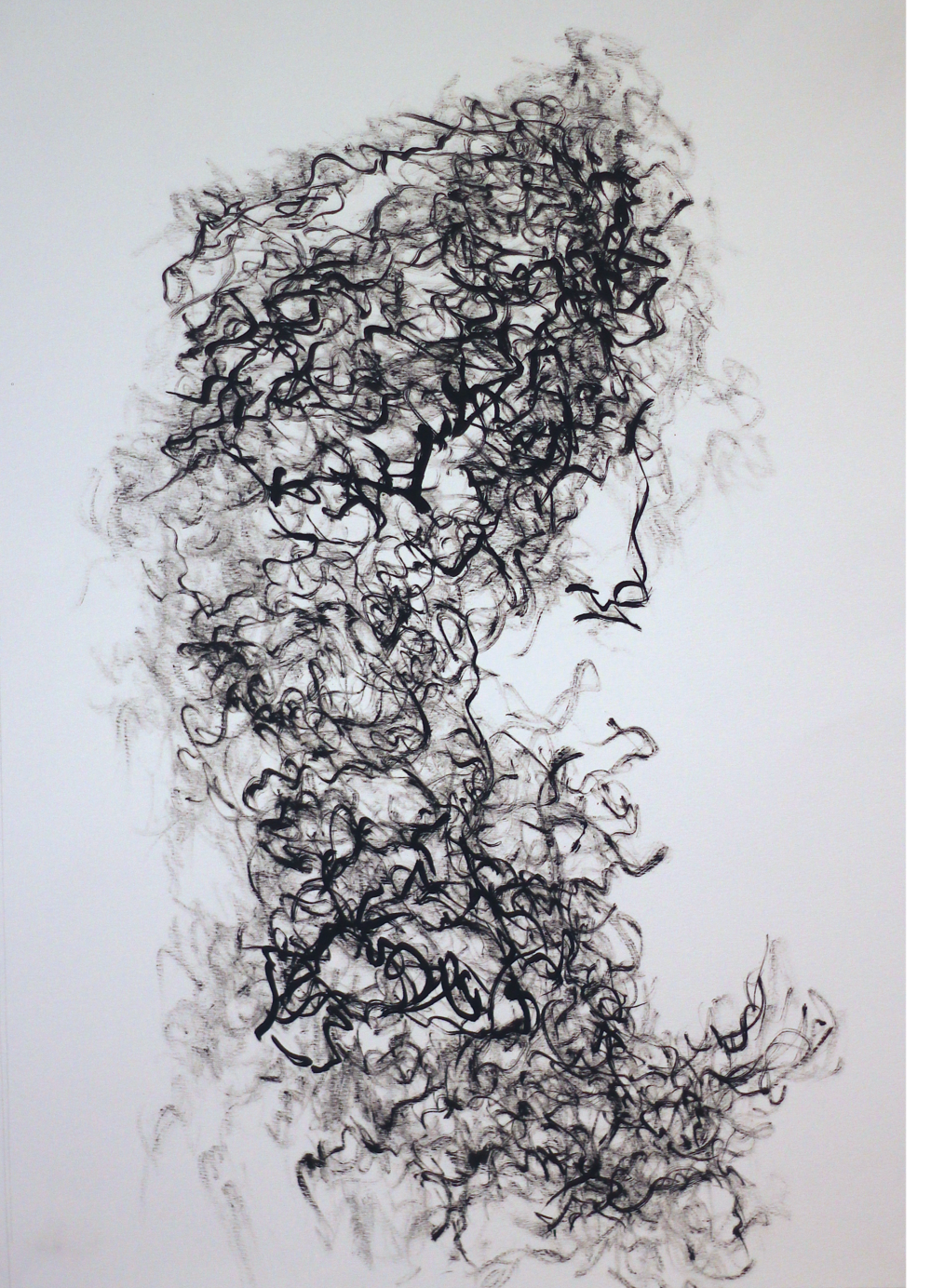 1000x1384 india ink drawings eleanor neal - India Ink Drawing