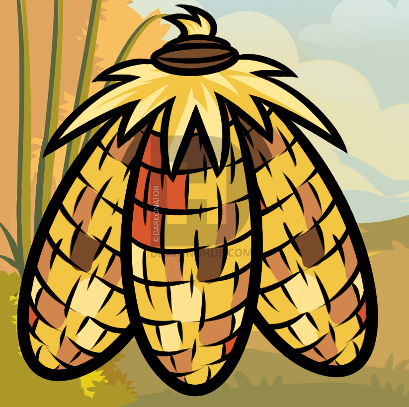 823x819 How To Draw Indian Corn, Step - Indian Corn Drawing