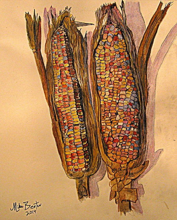 599x746 Indian Corn Art Print - Indian Corn Drawing