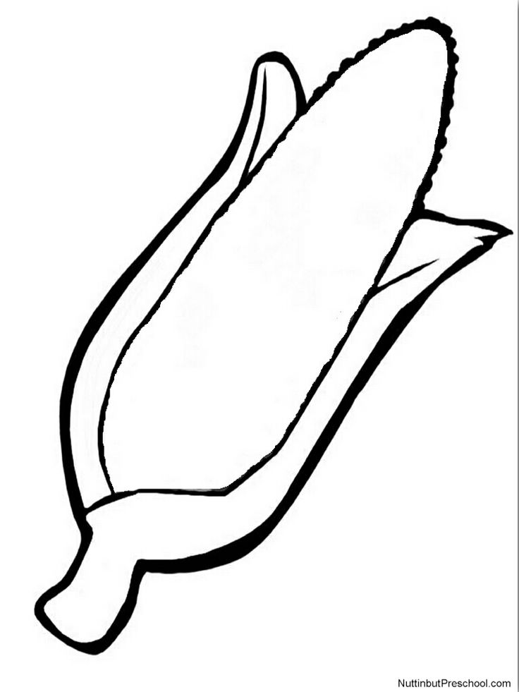 736x981 Indian Corn Coloring Page - Indian Corn Drawing