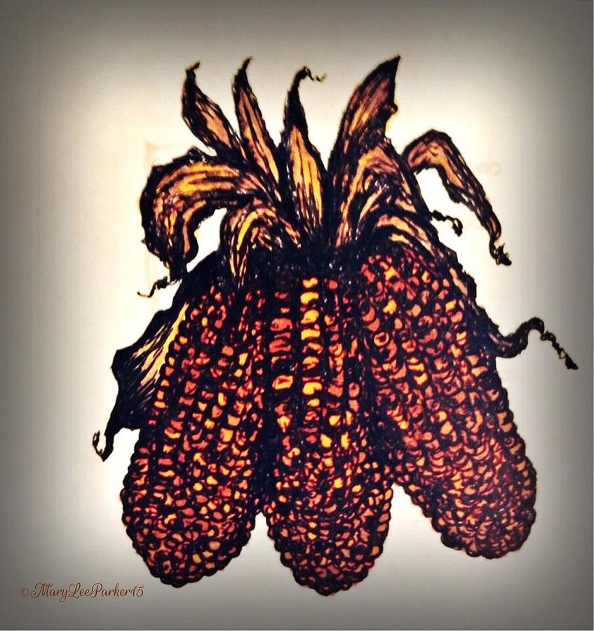 847x900 Indian Corn Drawing - Indian Corn Drawing