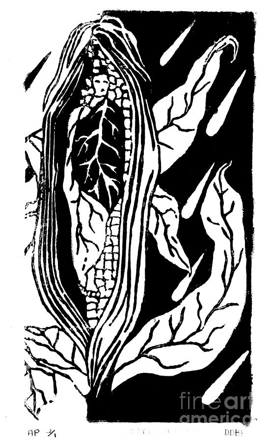 550x900 Indian Corn Maiden Drawing - Indian Corn Drawing