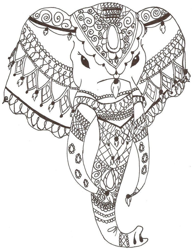 786x1016 Images For Gt Indian Elephant Head Art Coloring Page - Indian Elephant Drawing