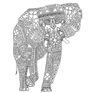 300x300 Indian Elephant Drawings Fine Art America - Indian Elephant Drawing