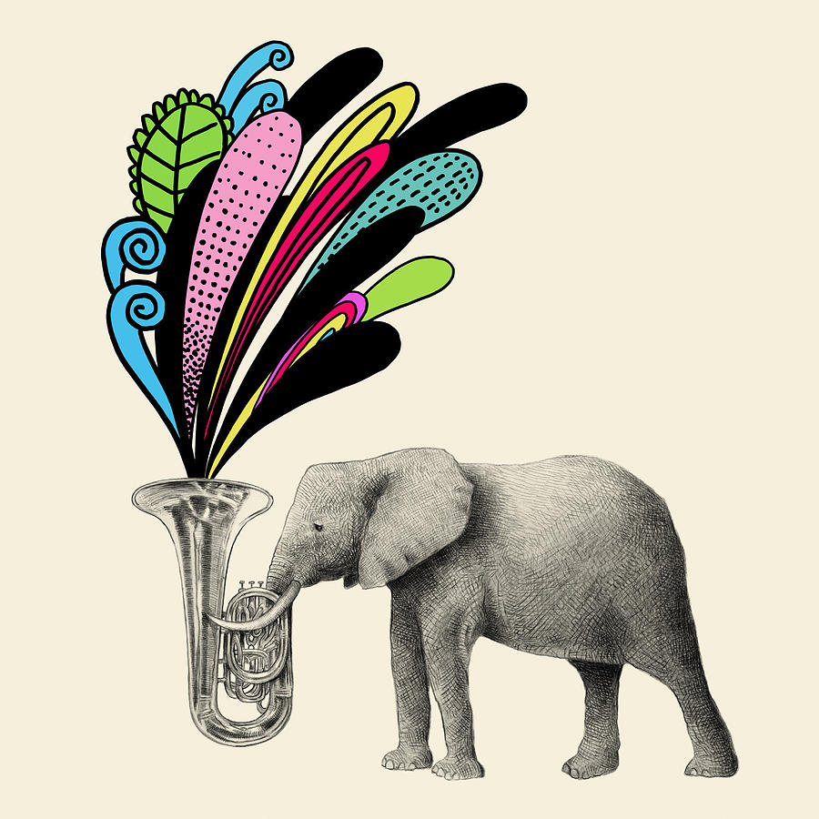 900x900 Color Burst Drawing - Indian Elephant Drawing Color