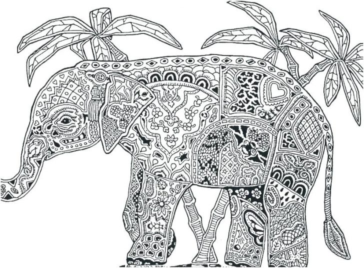 728x536 Coloring Pages Elephant Indian Cute Elephants Dumbo Concept - Indian Elephant Drawing Color