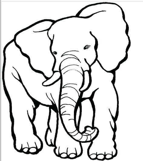 472x532 Elephant Drawing Cartoon At Free For Personal Use Cartoon Elephant - Indian Elephant Drawing Color
