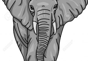 300x210 Elephant Drawing Color Indian Elephant Drawing Color - Indian Elephant Drawing Color