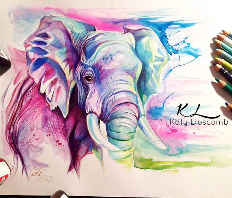 750x640 Elephant Color Drawing - Indian Elephant Drawing Color