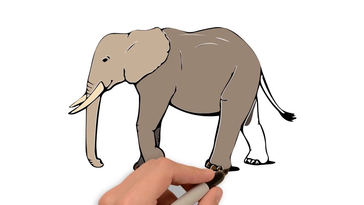1280x720 How To Draw And Color An Elephant Easiest Drawing Coloring - Indian Elephant Drawing Color