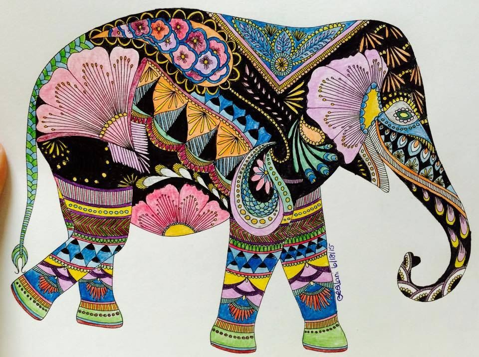 Indian Elephant Drawing Color at PaintingValley.com | Explore ...