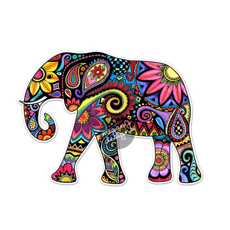 736x736 Carey Buehlman - Indian Elephant Drawing Color
