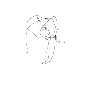 300x300 Elephant Line Digital Art - Indian Elephant Line Drawing