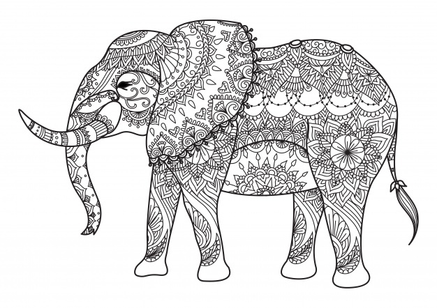 626x442 Elephant Vectors, Photos And Free Download - Indian Elephant Line Drawing