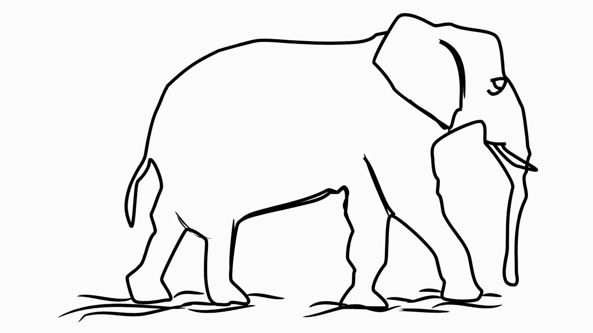 1920x1080 Elephant Line Drawing Animation With Transparent Background Motion - Indian Elephant Line Drawing