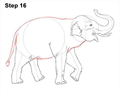 500x386 How To Draw An Asian Elephant - Indian Elephant Line Drawing