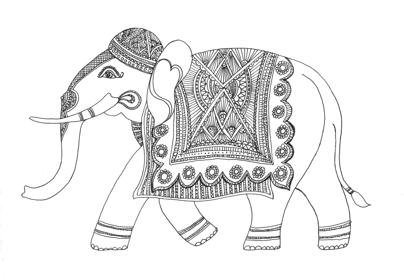 1347x932 Indian Elephant Line Drawing - Indian Elephant Line Drawing