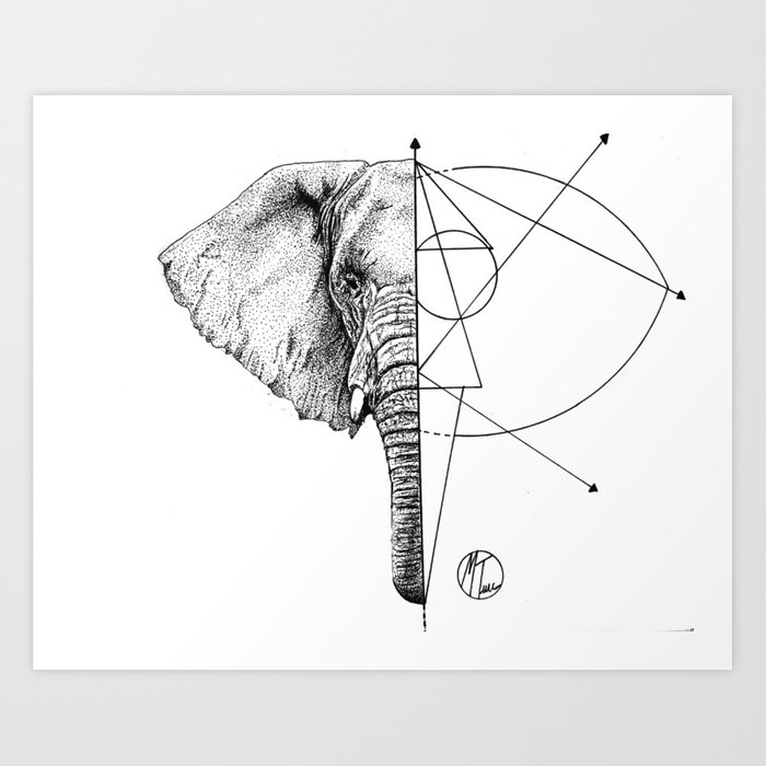 700x700 Elephant Lines Art Print - Indian Elephant Line Drawing