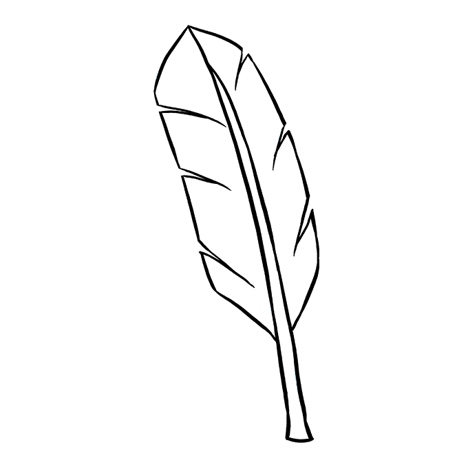 680x678 How To Draw A Feather - Indian Feathers Drawing