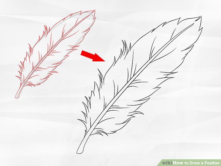 728x546 How To Draw A Feather Steps - Indian Feathers Drawing