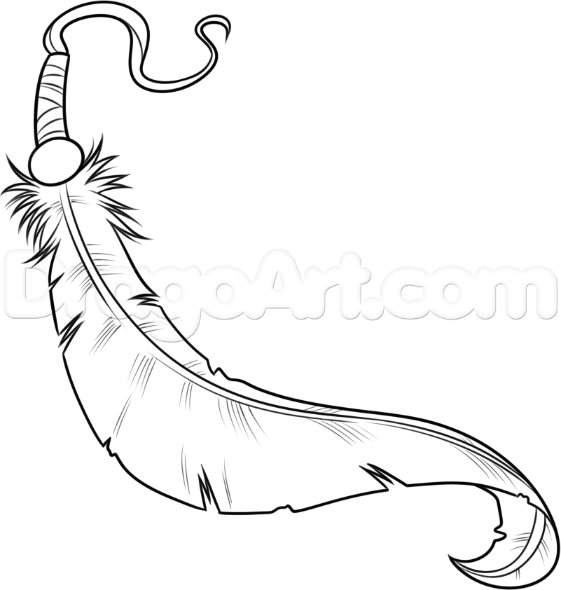 801x842 How To Draw An Indian Feather, Step - Indian Feathers Drawing