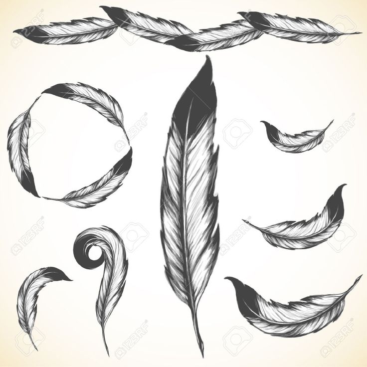 736x736 Indian Feather Clipart Great Free Clipart, Silhouette, Coloring - Indian Feathers Drawing