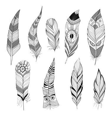 380x400 Native Feather Vector Set Of Feathers Vector Inspiration - Indian Feathers Drawing