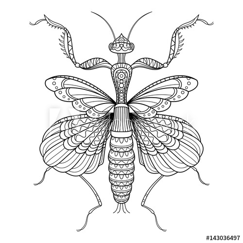 500x500 Vector Monochrome Decorative Indian Flower Mantis Drawing Mantis - Indian Flower Drawing