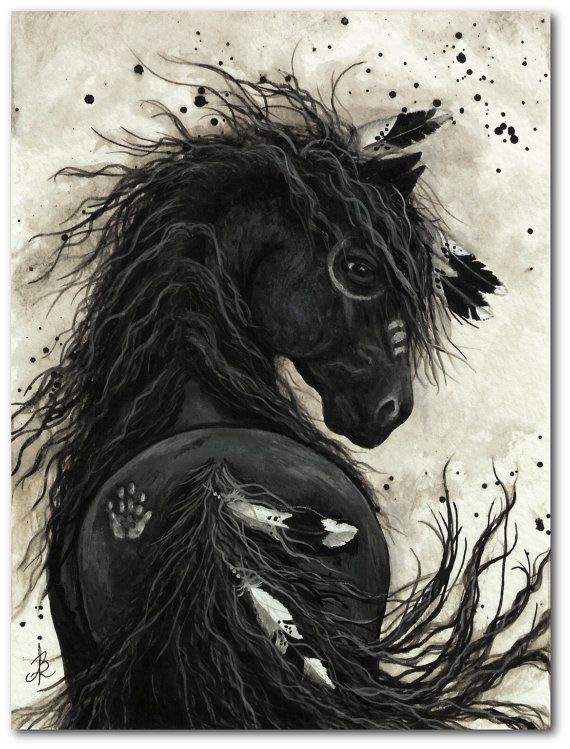 570x749 friesian black horse native american feathers war paint - Indian Horse Drawings