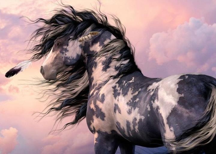 720x514 Horse The Legendary Moonlight Sculptor Wiki Fandom Powered - Indian Horse Drawings
