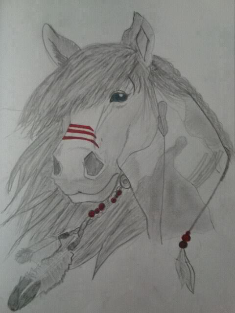 480x640 Image Gallery Indian Horse Drawings - Indian Horse Drawings