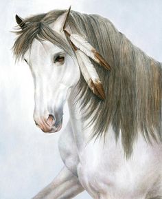 236x289 best war horse images indian horses, drawings of horses - Indian Horse Drawings