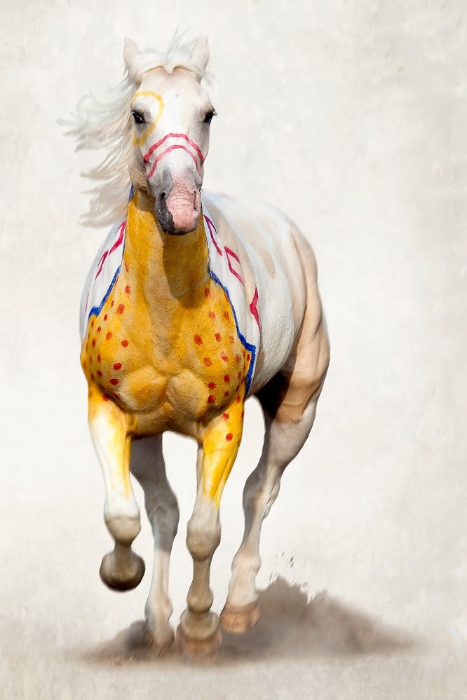 666x999 White Wolf Native Americans And Horses - Indian Horse Drawings