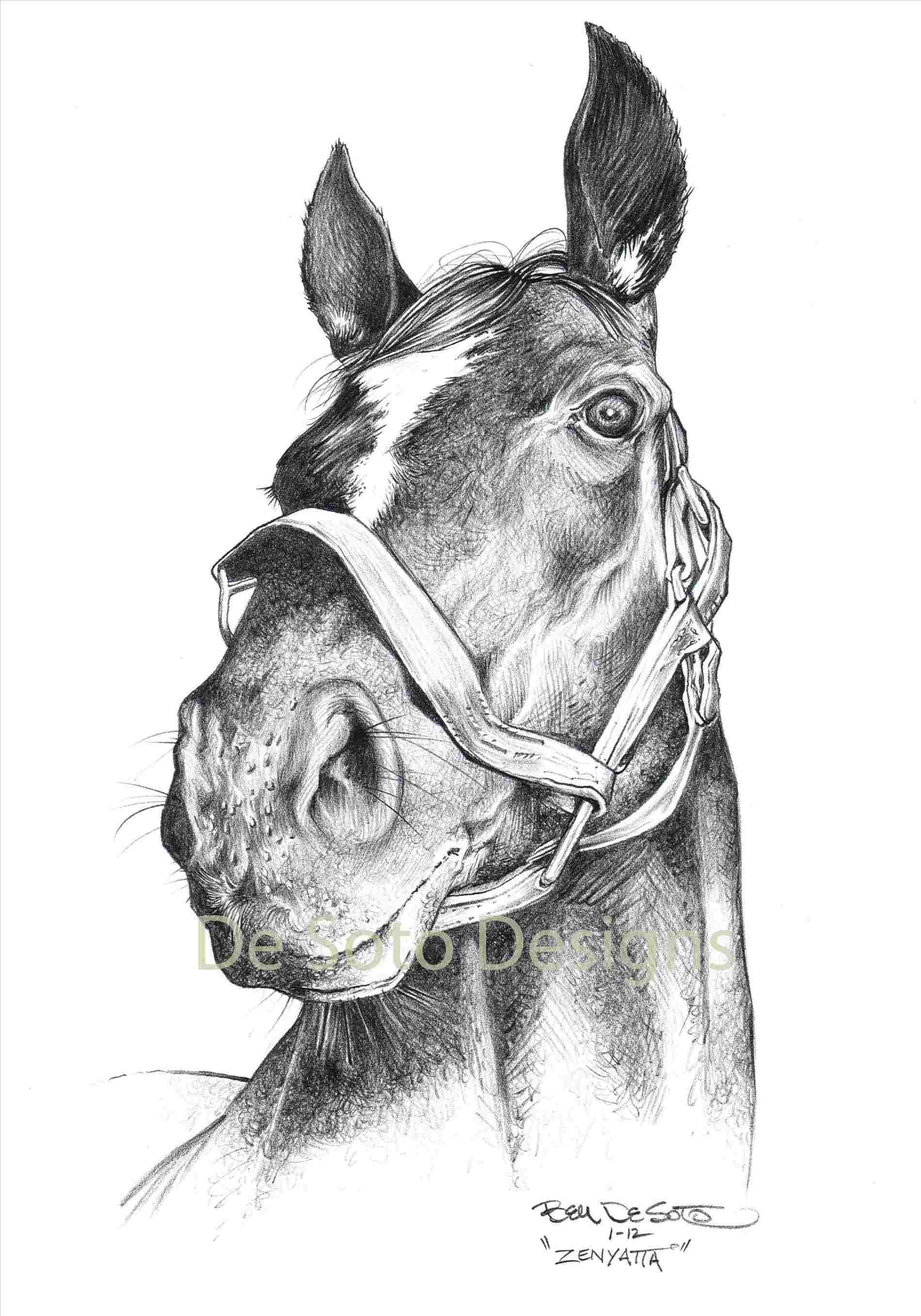 1899x2713 Horse Drawing Pencil Drawings Horse Pencil Drawing - Indian Horse Drawings