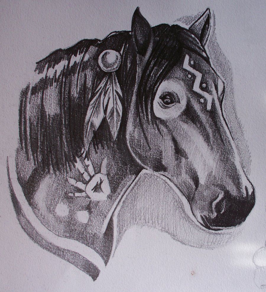 900x989 Native American Horse Drawings Native American Pencil Sketch - Indian Horse Drawings
