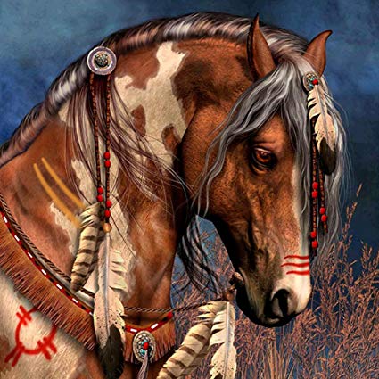 425x425 Diamond Diy Painting - Indian Horse Drawings