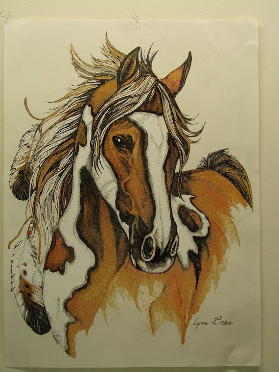 570x760 american indian horse paint pinto tshirt - Indian Horse Drawings
