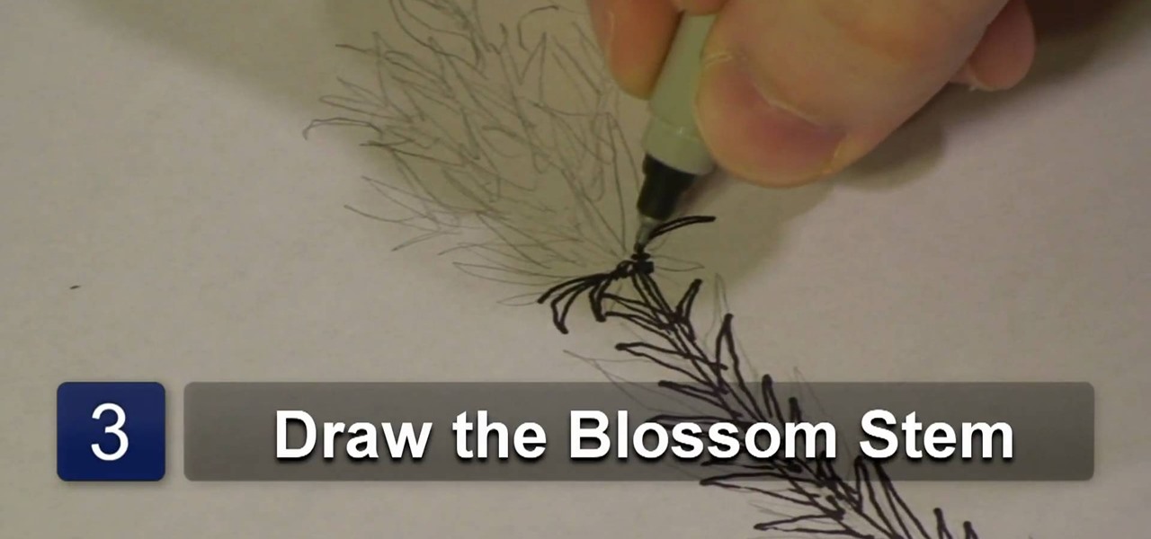 1280x600 how to draw an indian paint brush drawing illustration - Indian Paintbrush Drawing