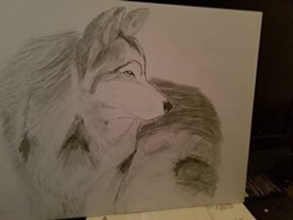 570x429 Individual Drawings Etsy - Individual Drawing