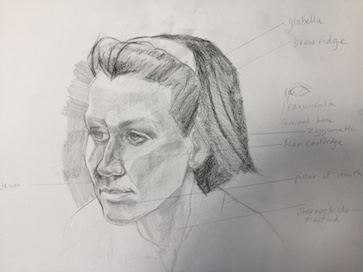 363x272 rha school courses from september, dublin visual artists ireland - Individual Drawing