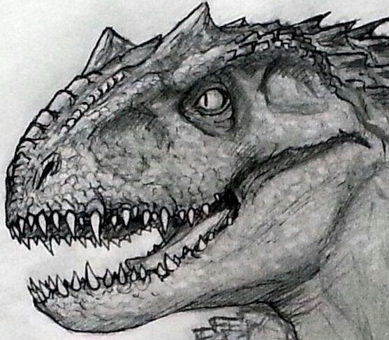 557x487 indominus rex drawing drawing skill - Indominus Rex Drawing