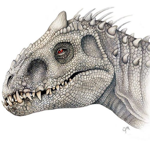 640x640 indominus rex drawing - Indominus Rex Drawing