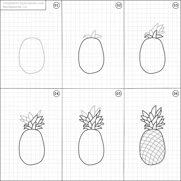 590x590 Fish - Info Drawing