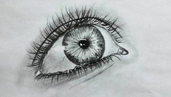 600x340  - Info Drawing