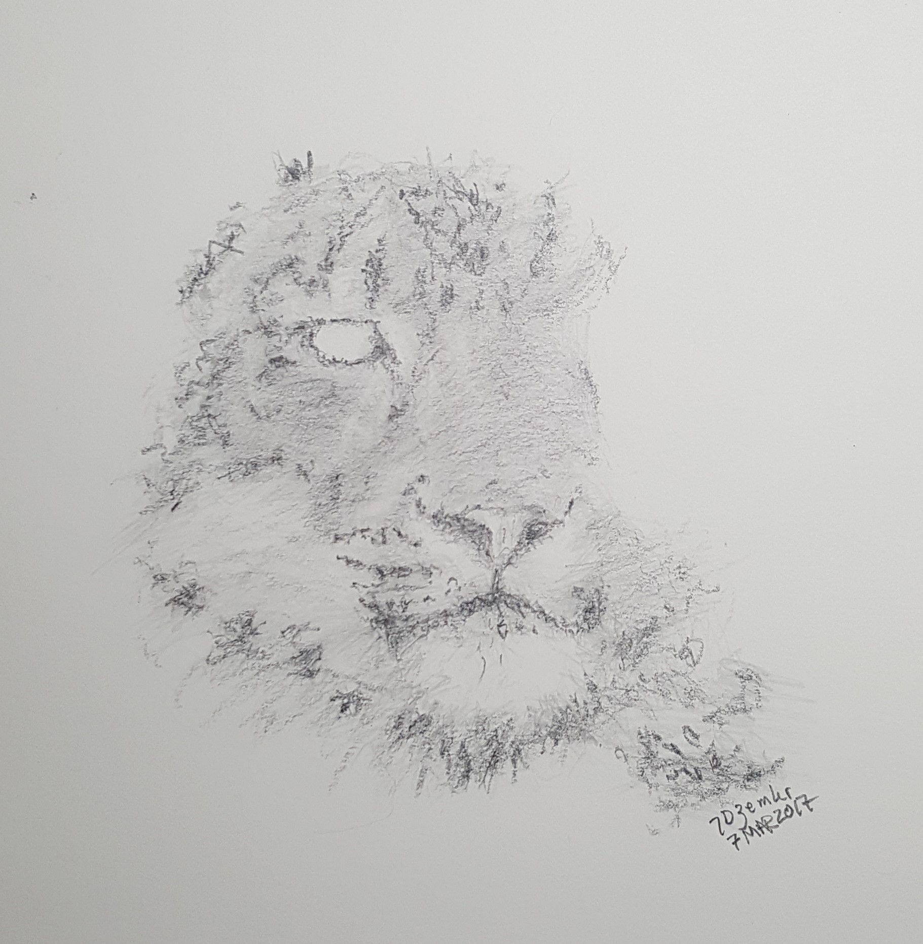 1821x1861 ptsd spirituality yet another injury update - Injury Drawing