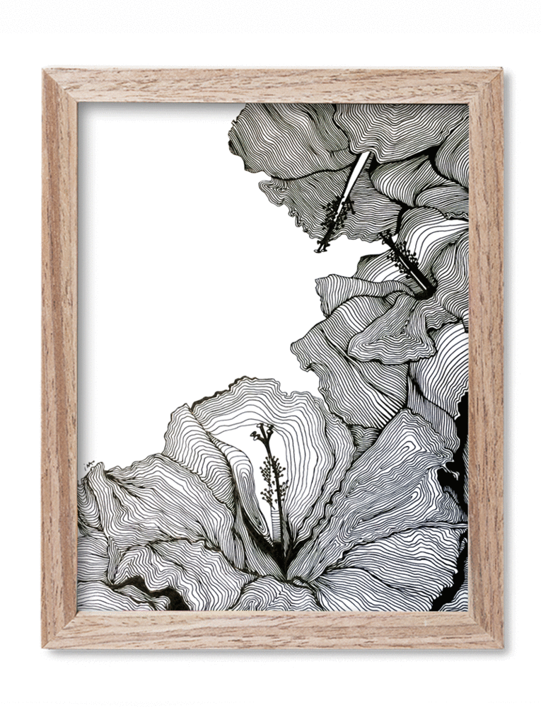 765x1024 Linear Flowers Ink Drawing - Ink Drawing